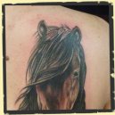 paarden tattoo