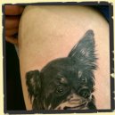 realistic dog tattoo