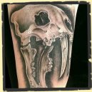 animal skull tattoo