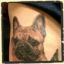 honden tattoo
