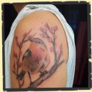 realistic color bird tattoo