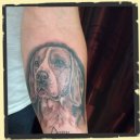 honden portret tattoo