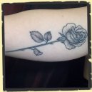 pepper shading rose tattoo