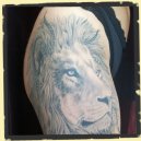 lion tattoo