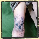 small dog realistic tattoo