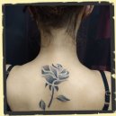 dotwork rose tattoo