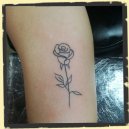 fineline rose tattoo