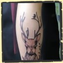 deer animal tattoo