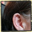 tragus piercing